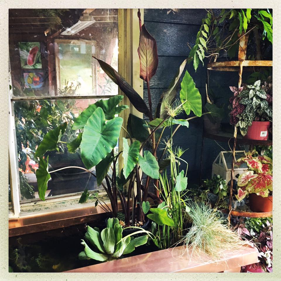 Raised Koi pond is finally here… – hey leslie
