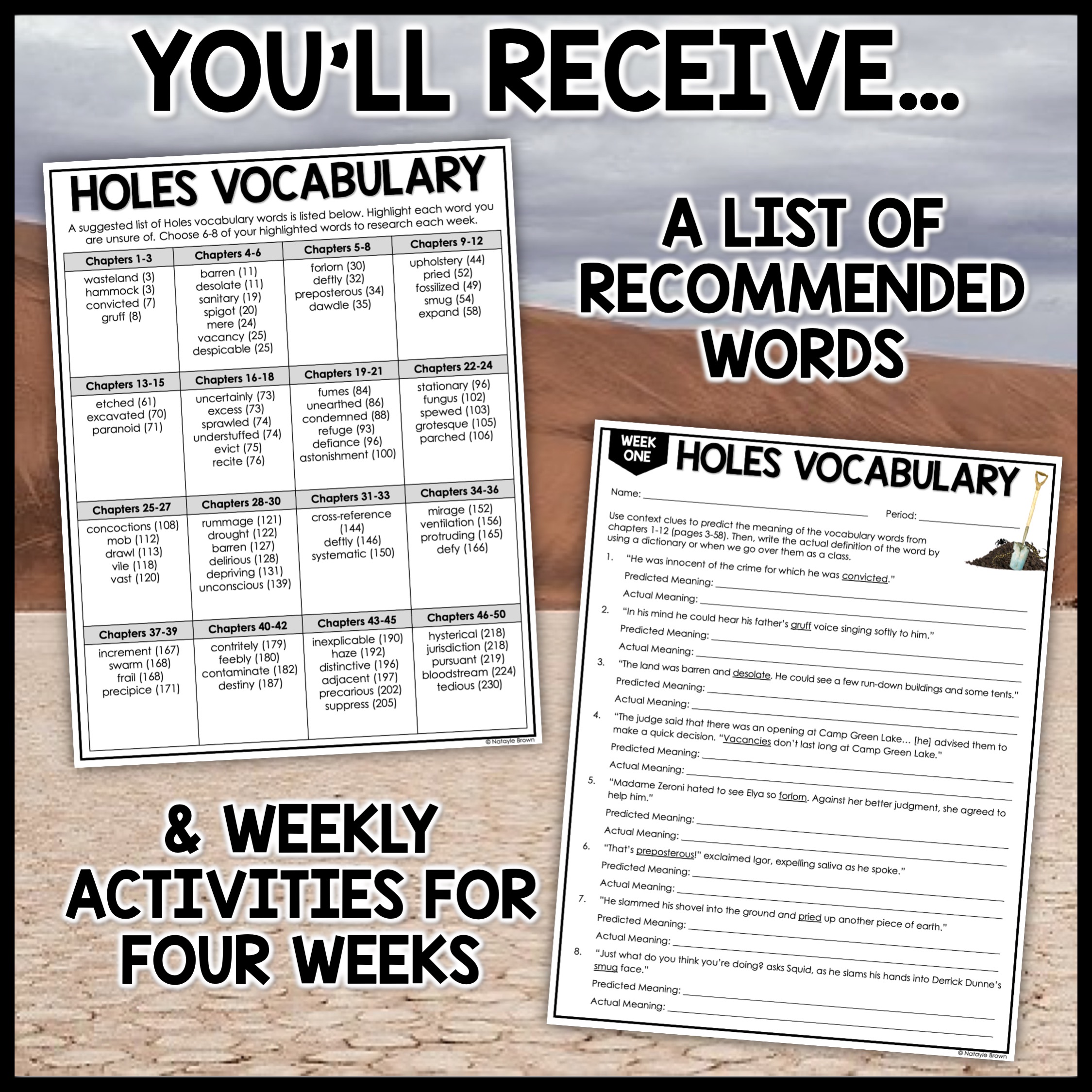 Holes by Louis Sachar Vocabulary Acivities Hey Natayle