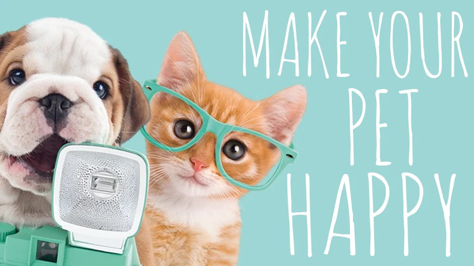 HeyPetz , For Your Pets ! HeyPetz Store