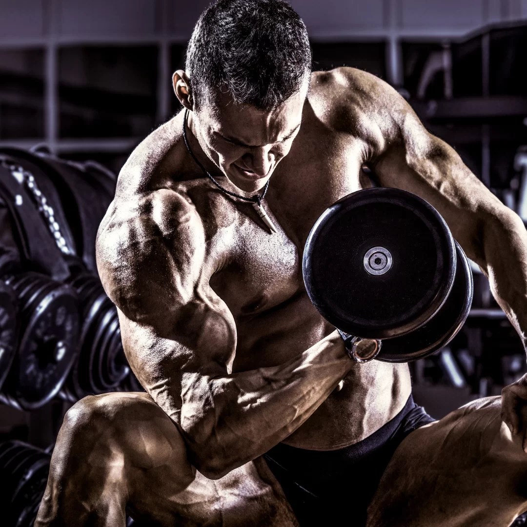 Bodybuilding Online course HFS