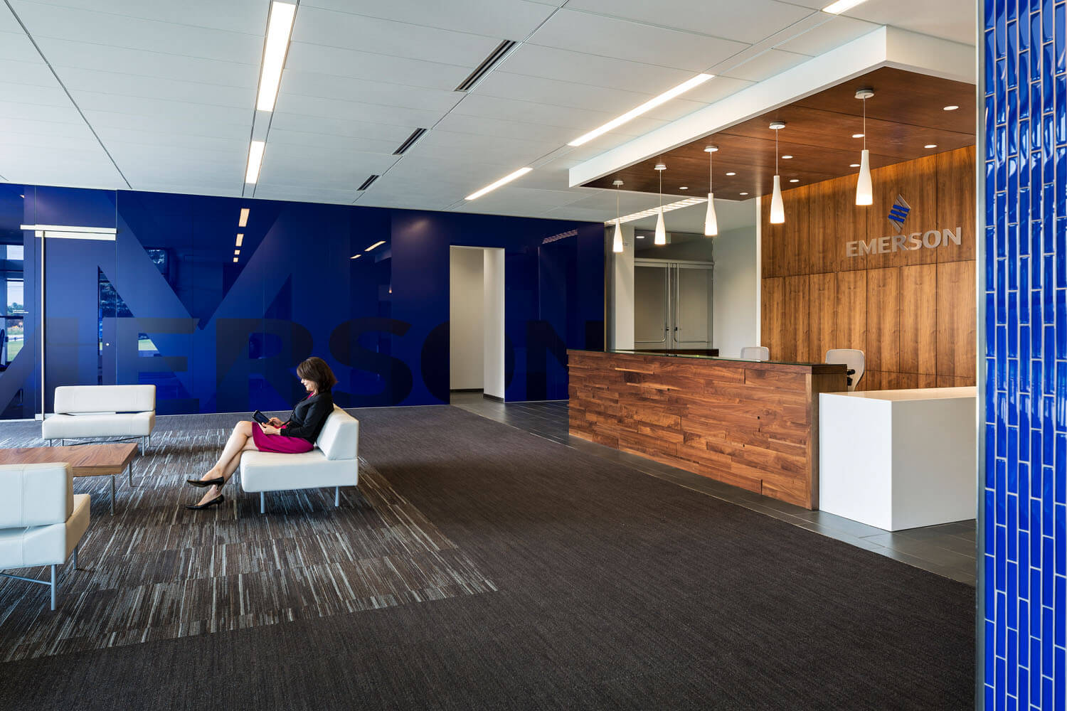 Emerson Process Management HGA