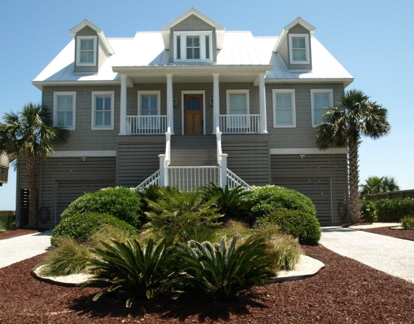 Salt Tolerant Plants for the South Carolina Coast Home & Garden