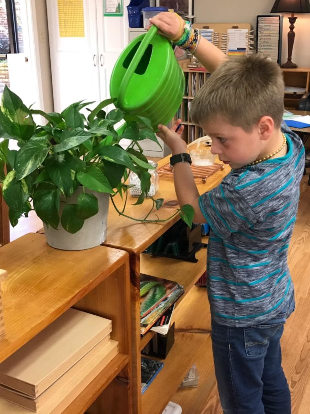 Indoor Plants for the Classroom Home & Garden Information Center