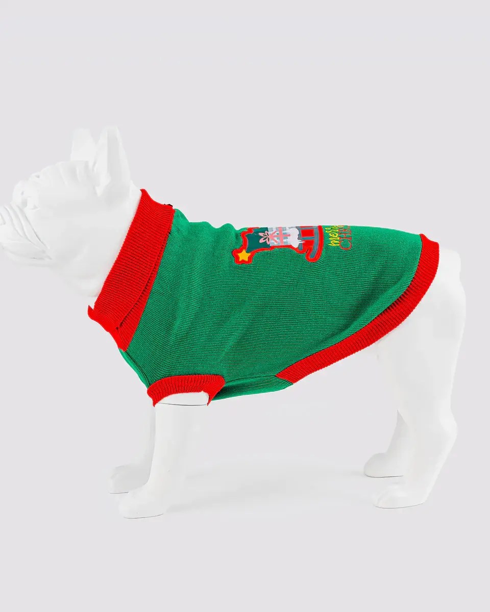 Hugo & Hudson Green Santa Sleigh Christmas Jumper M HG PETS