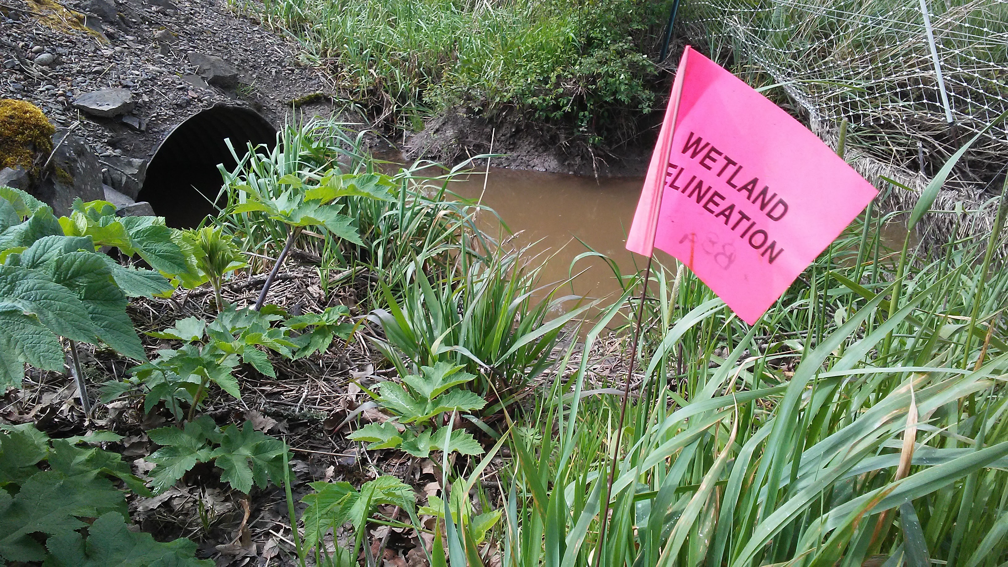 How wetland rules waste money Hasso Hering