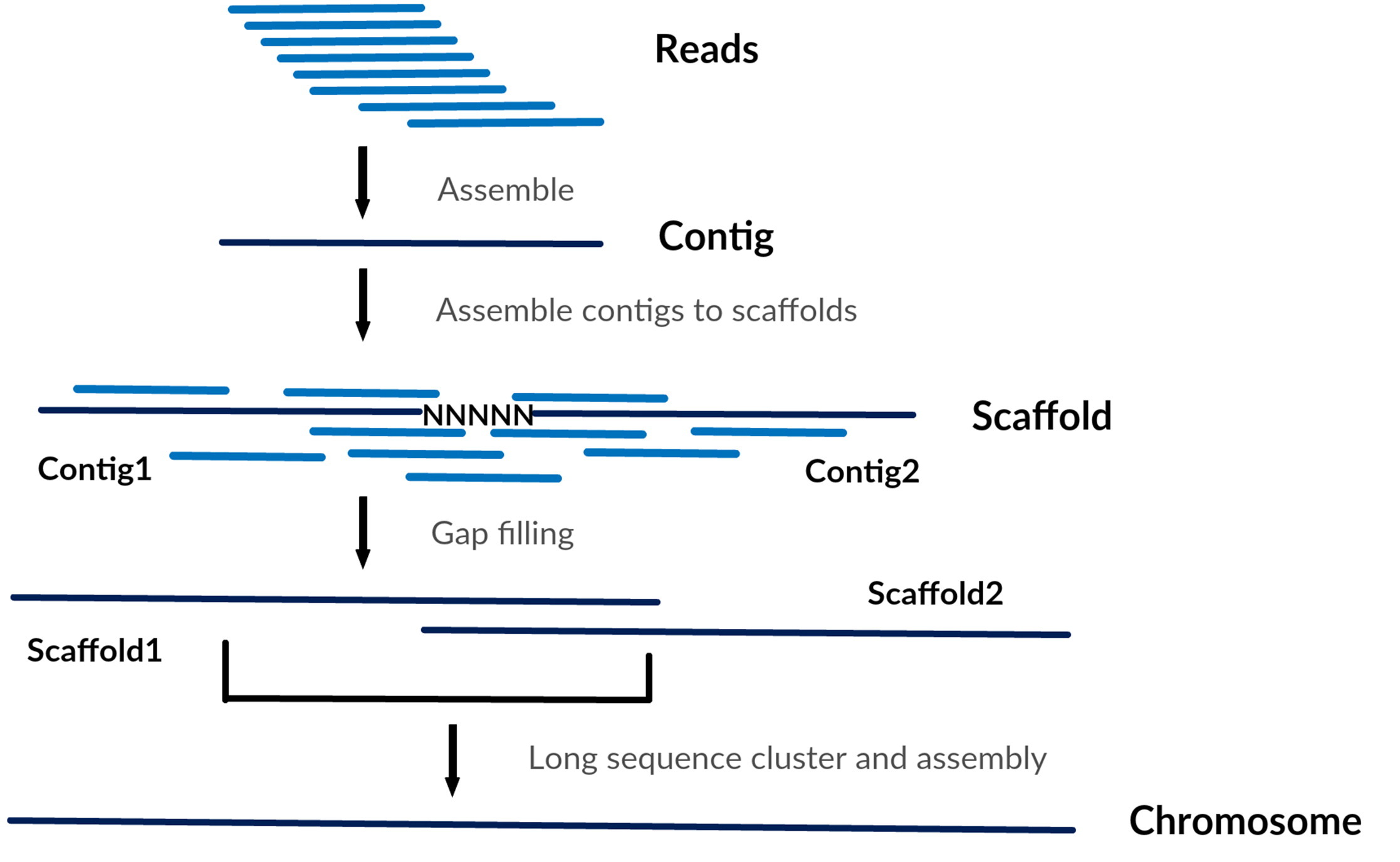 Human reference genome GRCh37 과 GRCh38 에 대하여 한헌종의 Git Blog