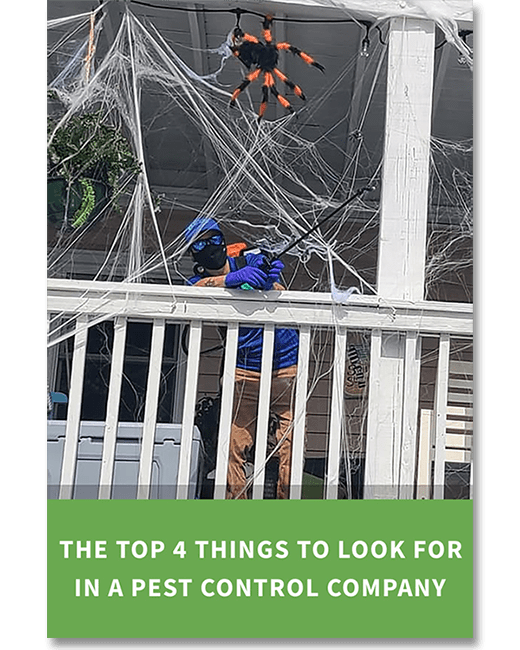 Home Healthy Home Pest Control