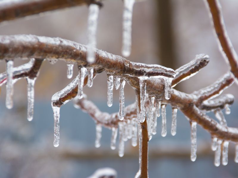 Freezing temps and your water service - Hilton Head Public Service District