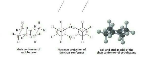 Cyclohexane structure in newman projection Brainly.in