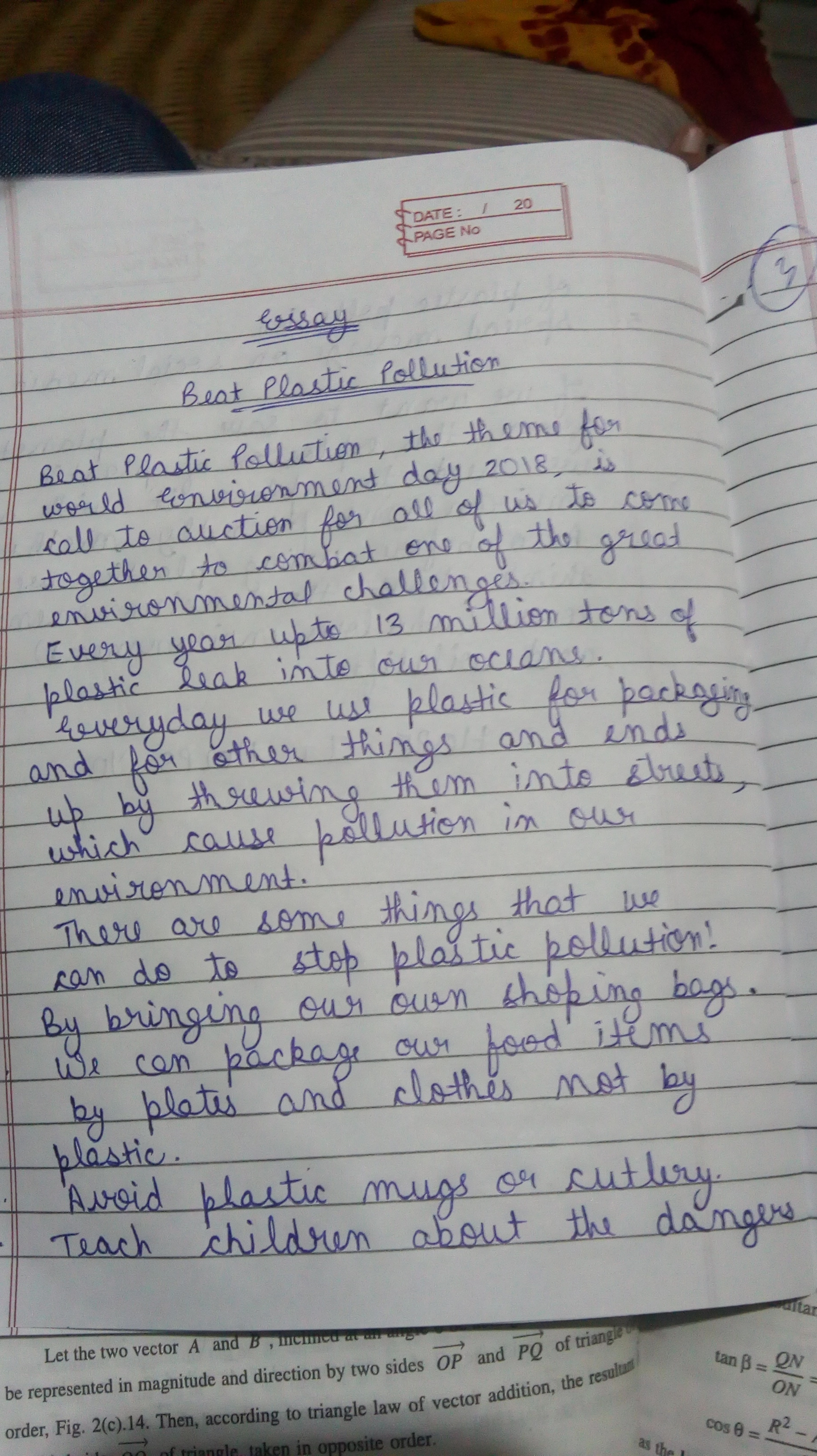 Essay on Beat Plastic Pollution! If you can't reuse it