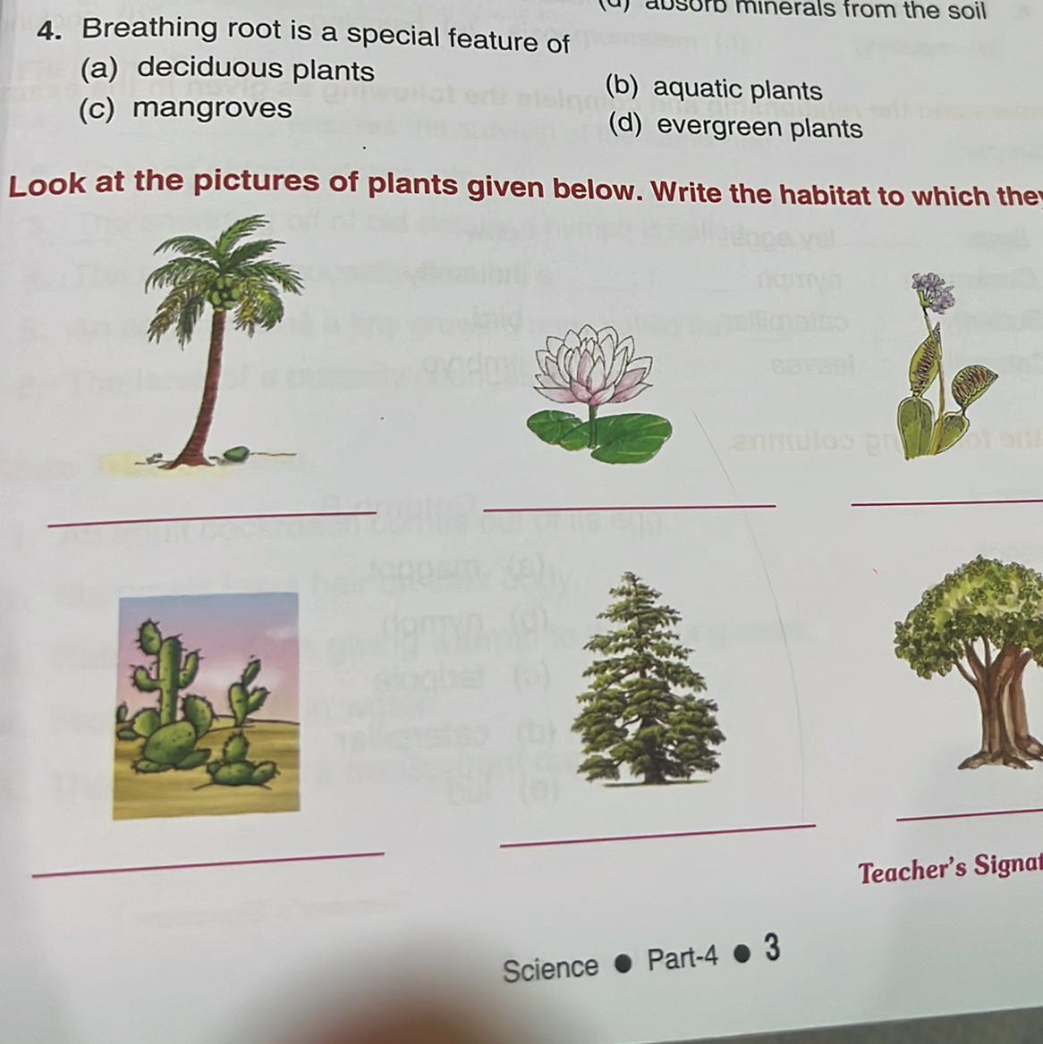 B. Look at the pictures of plants given below. Write the habitat to