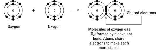 What is divalent bonding Brainly.in What is divalent bonding Brainly.in