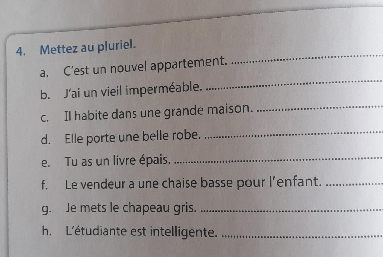 Mettez au Pluriel. french Brainly.in