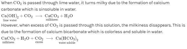 Write balanced chamical equation of excess of carbon dioxide is passed