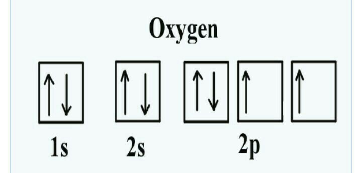 Write down the electronic configuration of oxygen using hunds rule