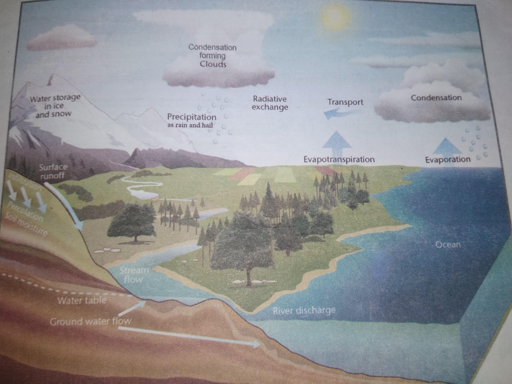 with the help of a diagram explain how water cycle is maintained in