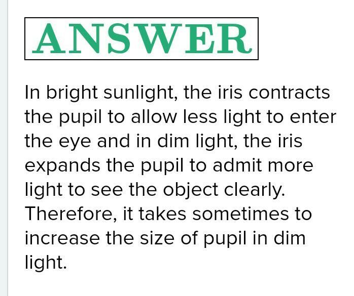 Why does it take sometimes to see the objects in dim light when you