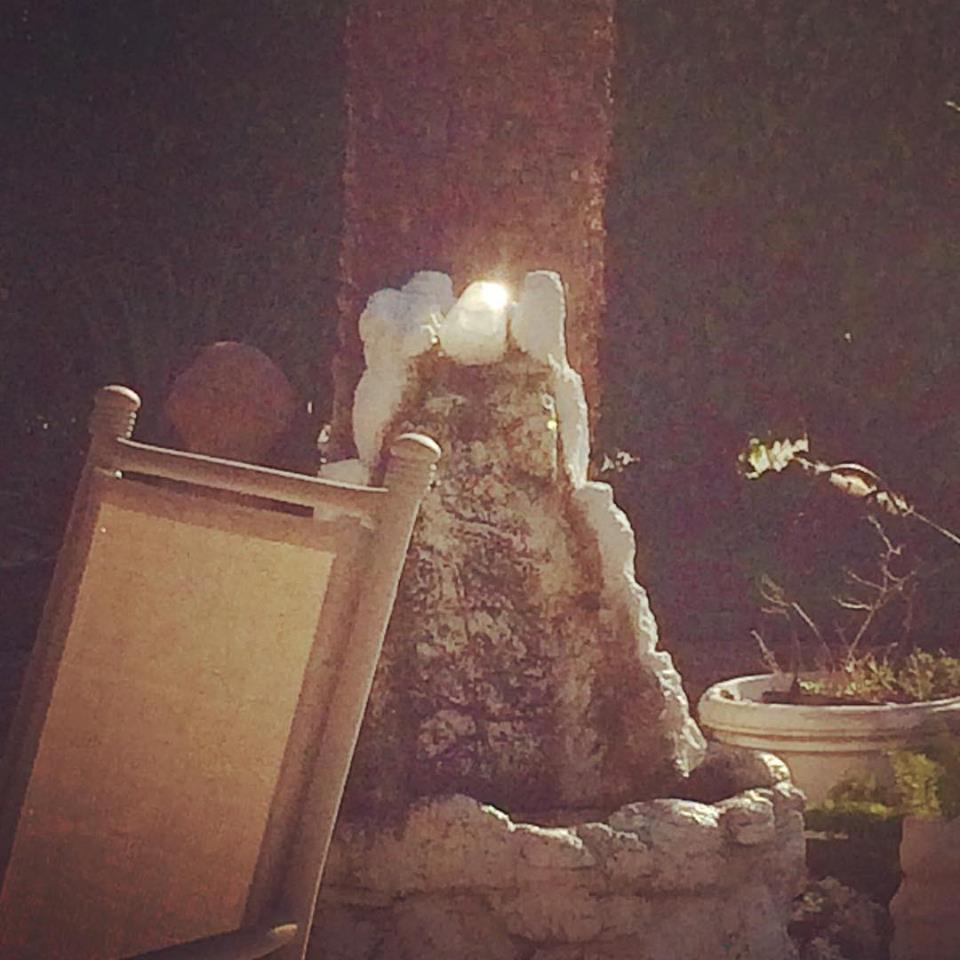 Can You Overcharge your Crystals in the Sun? Hibiscus Moon