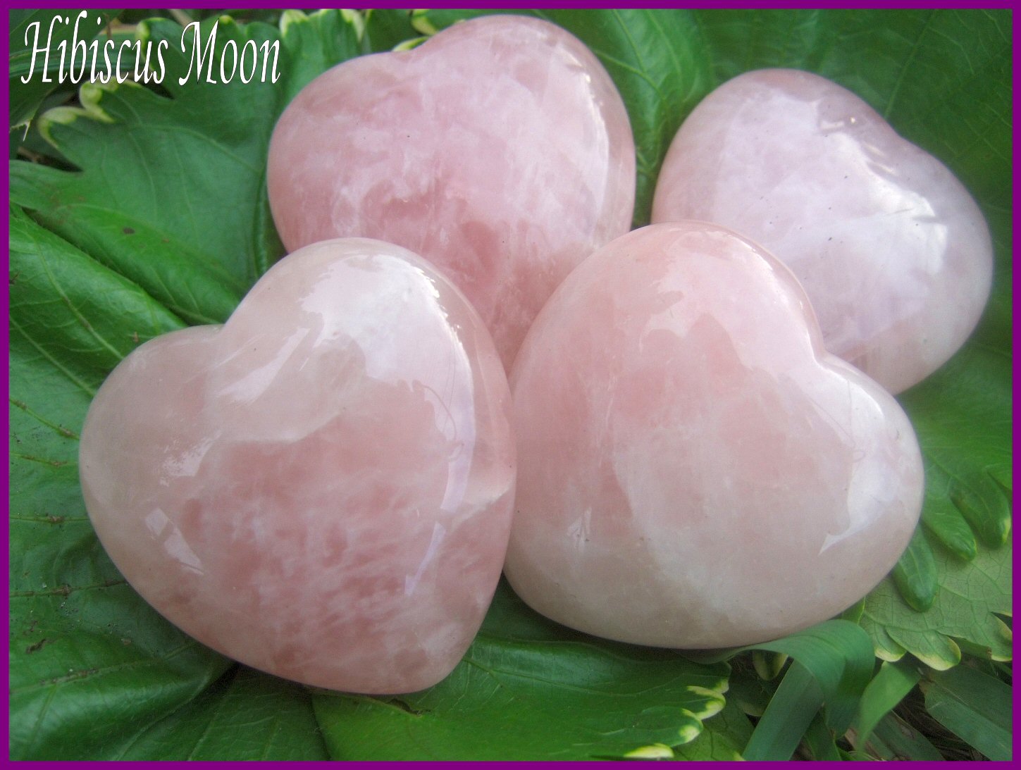 5 Tips to a Better Night's Sleep...the Crystal Healing Way Hibiscus