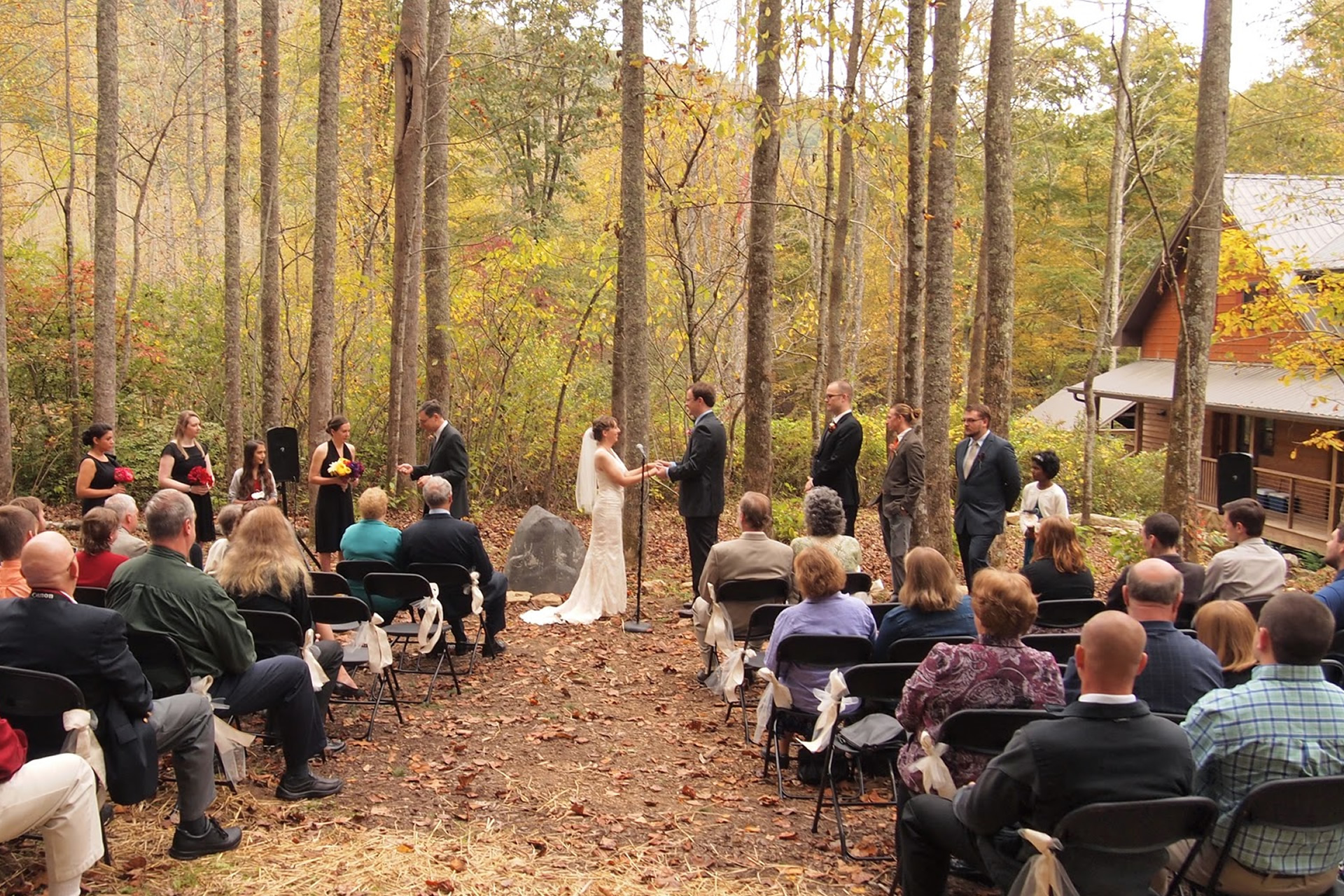 Hickory Nut Forest Home Page Hickory Nut Forest