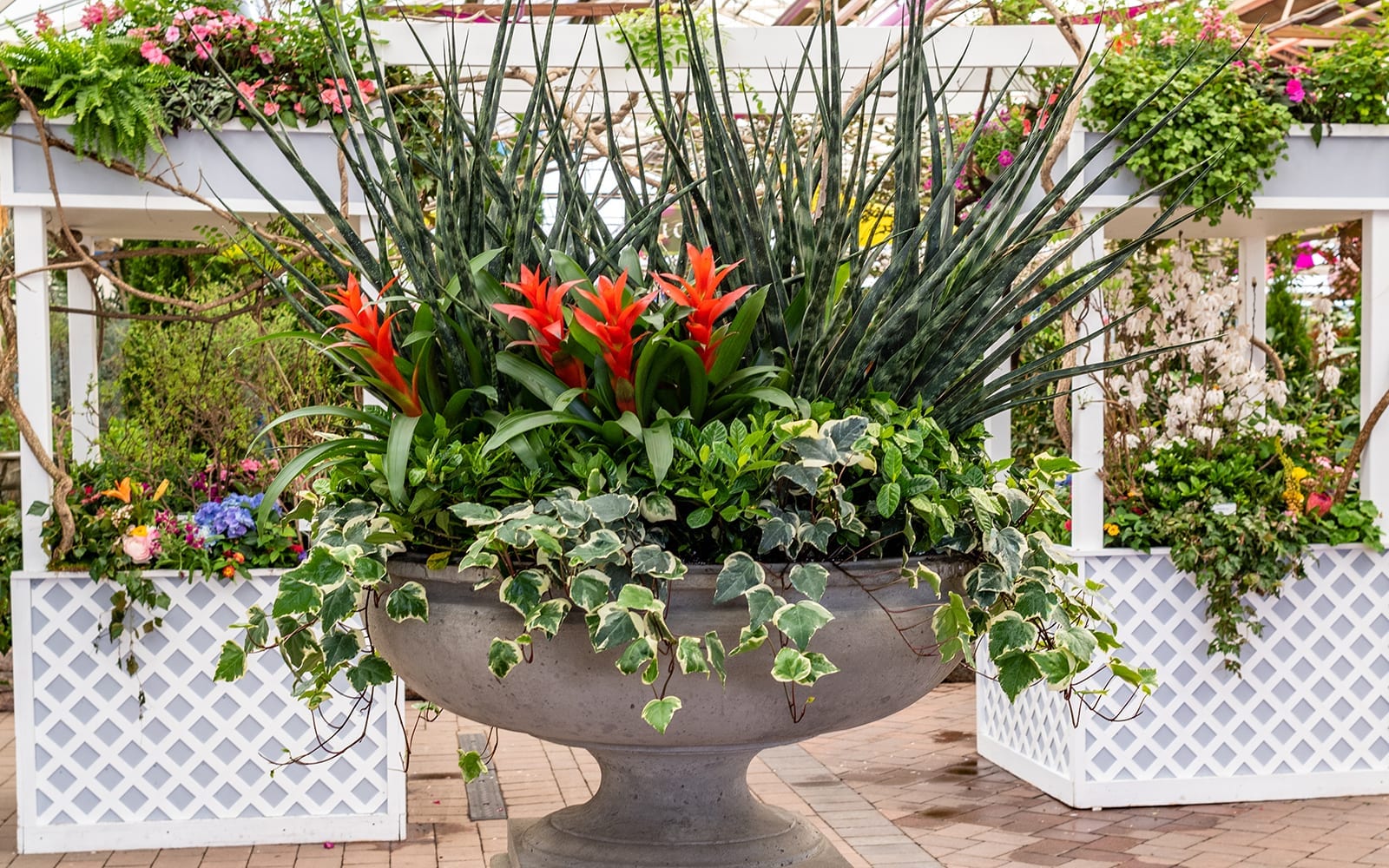 Services Hicks Nurseries