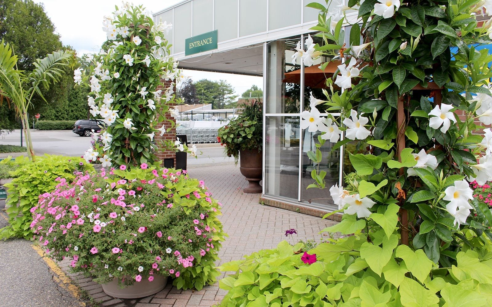 About Us Long Island’s Largest Plant Nursery Hicks Nurseries