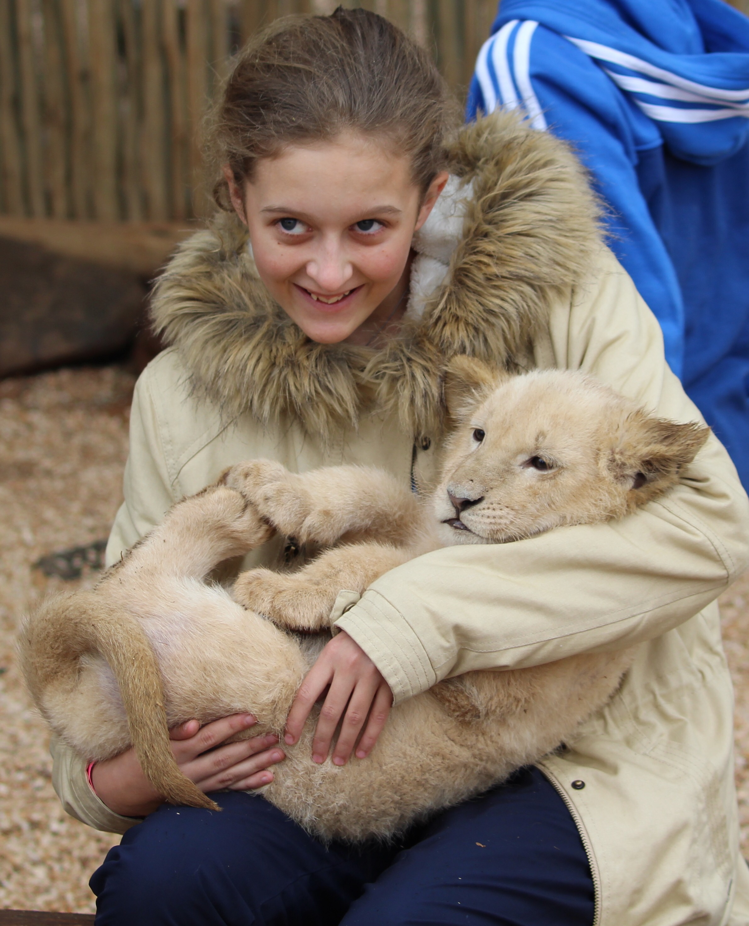 Lion Park Visit hicksonhols