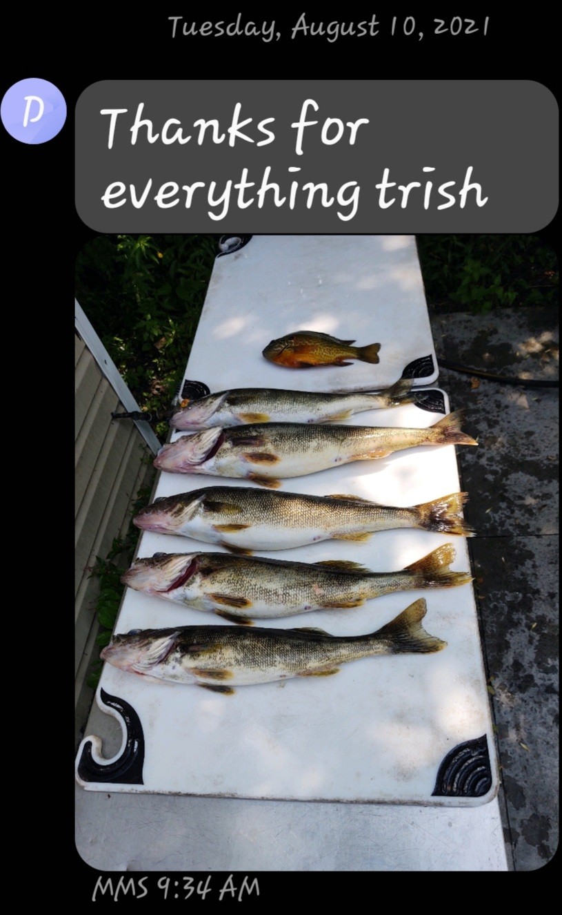 Hidden Harbor In Canastota NY Fish Camp Oneida Lake