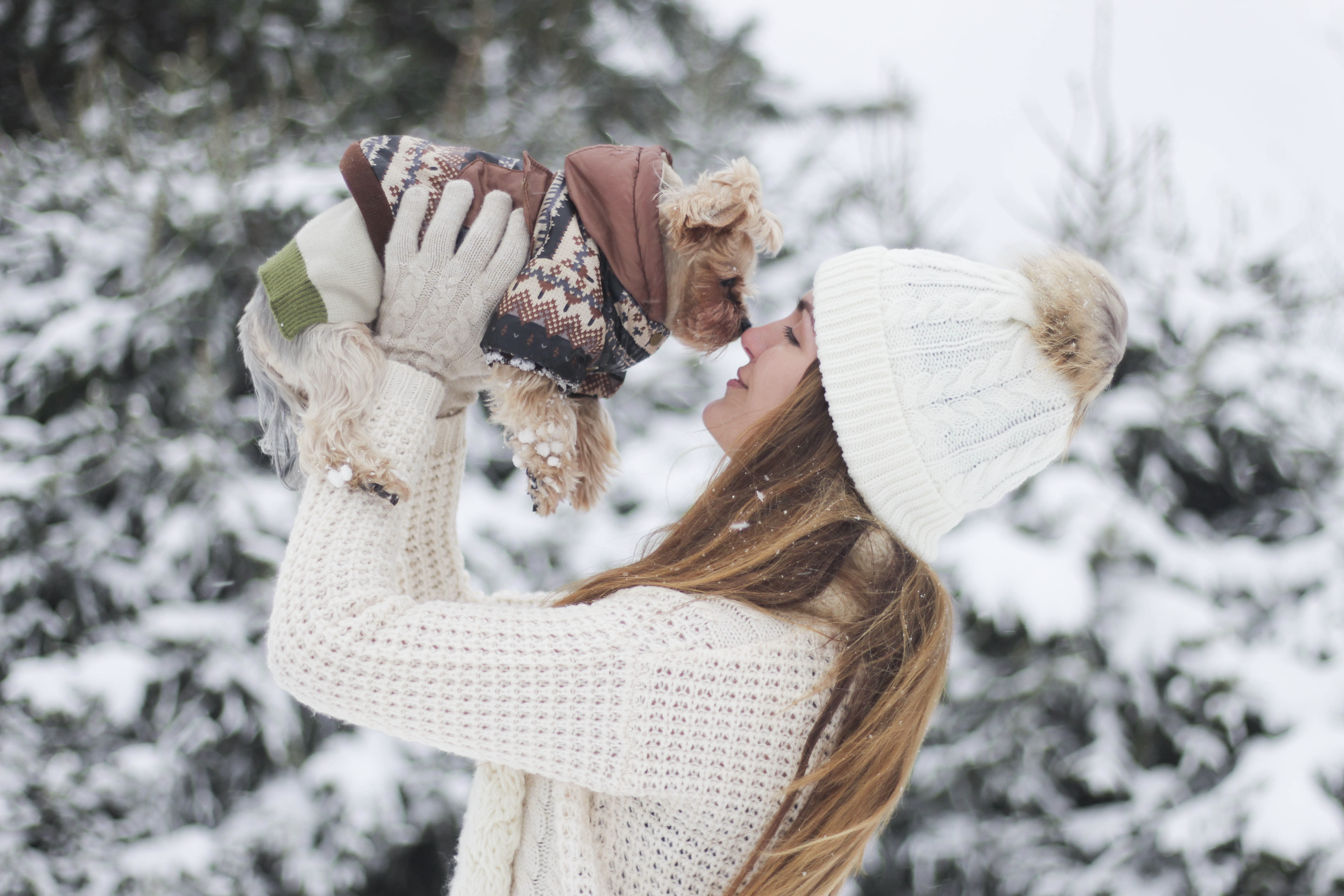 Cold weather dangers for pets Why a fur coat isn't enough Hidden