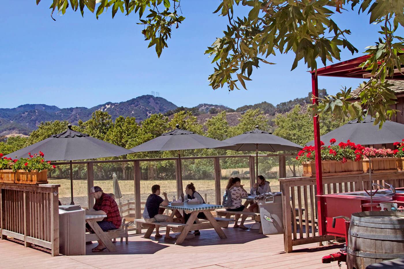 Avila Valley Barn in San Luis Obispo. A wonderful place to take the family!