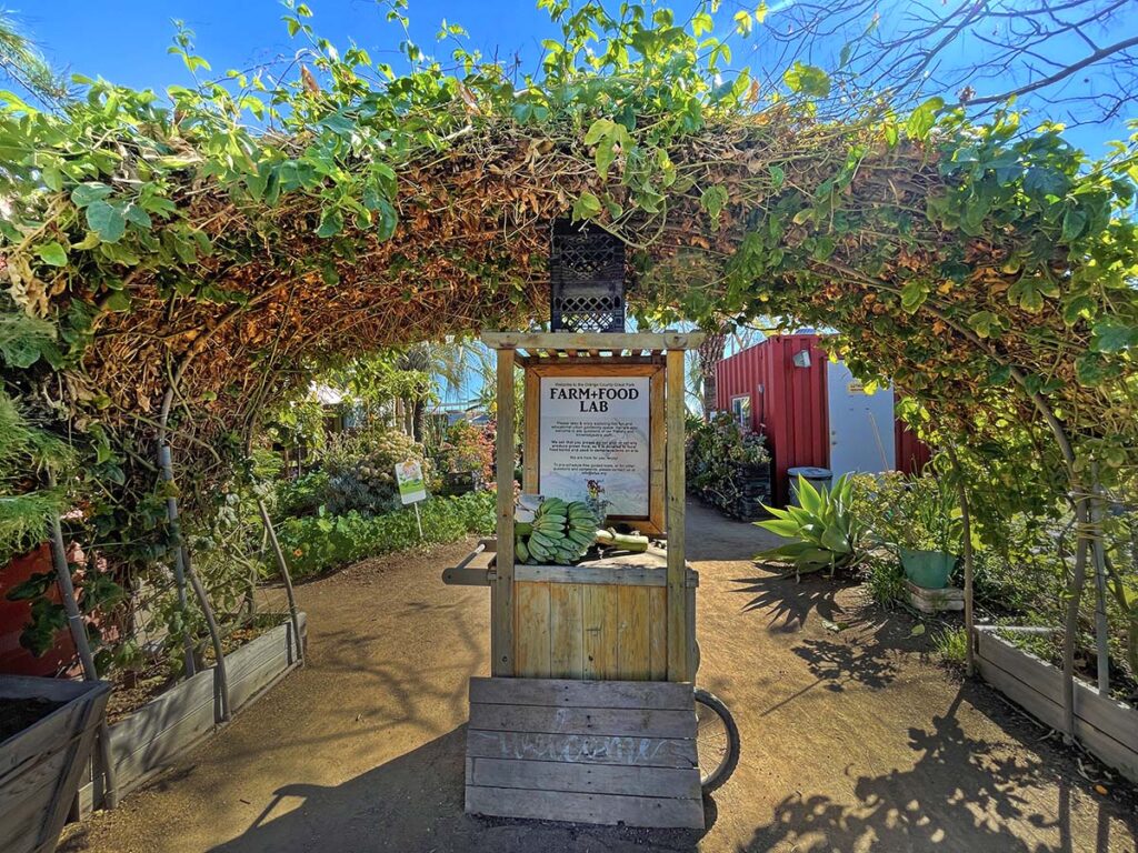 Explore fun, hidden places in Orange County!