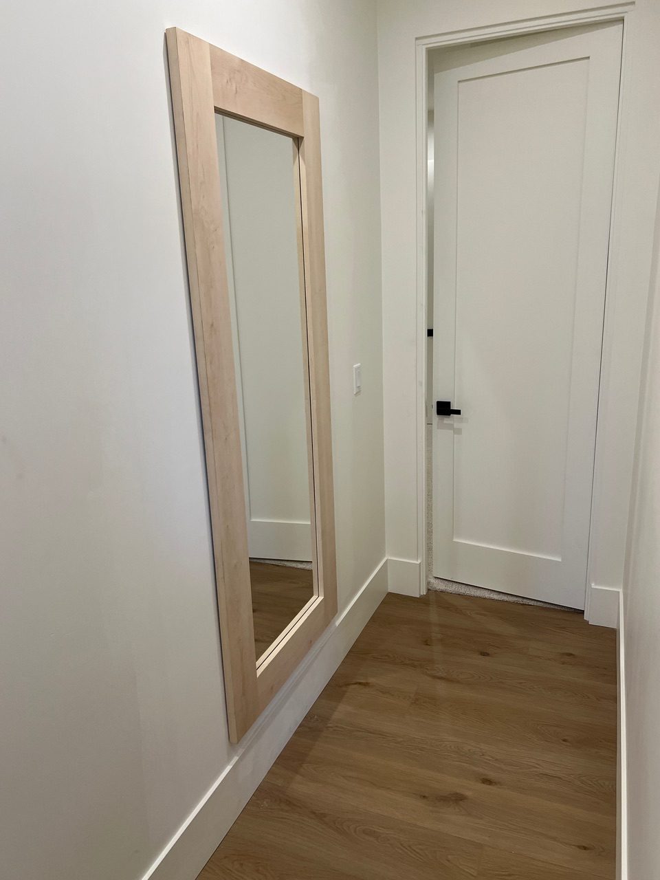 Secret Vault Mirror Door Secure & Hidden The Hidden Door Store