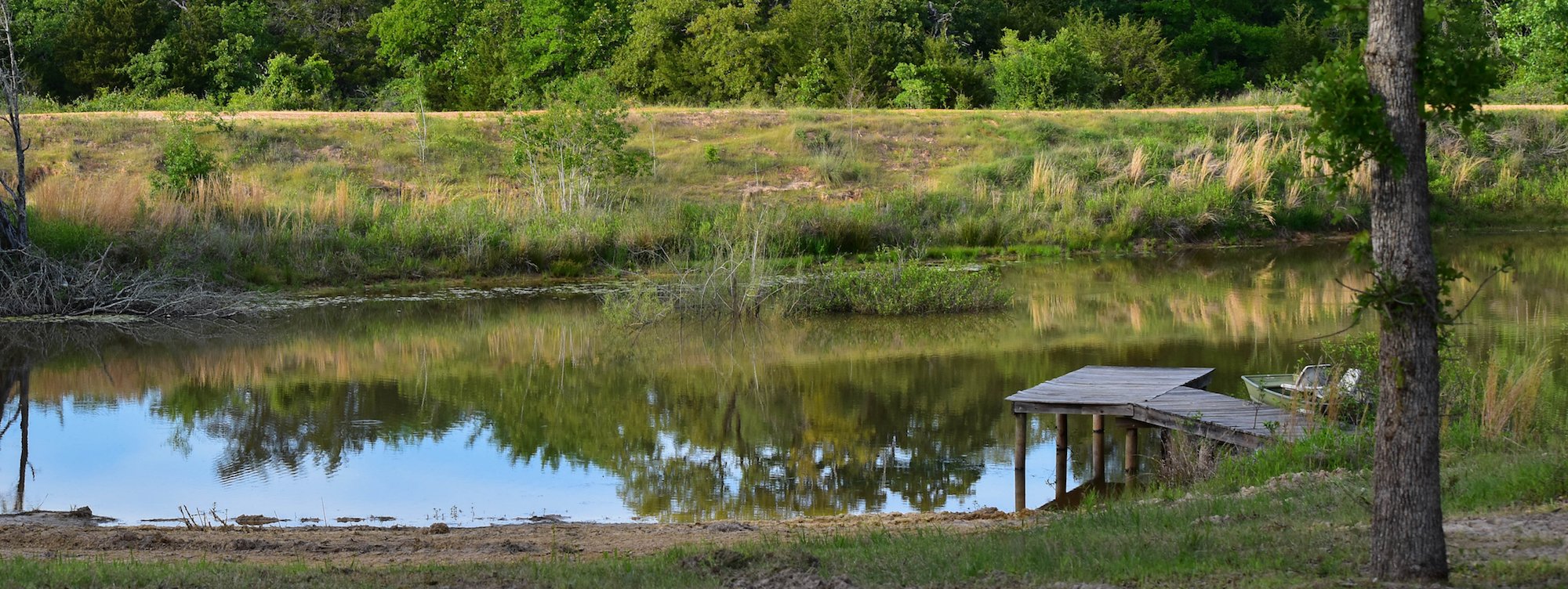 Texas Whitetail and Exotic Hunts Hidden Hills Ranch Dream King