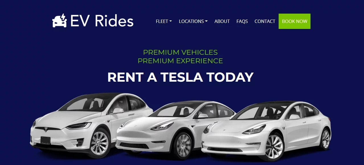 How to Find Hybrid or Electric Car Rental Hidden Lemur