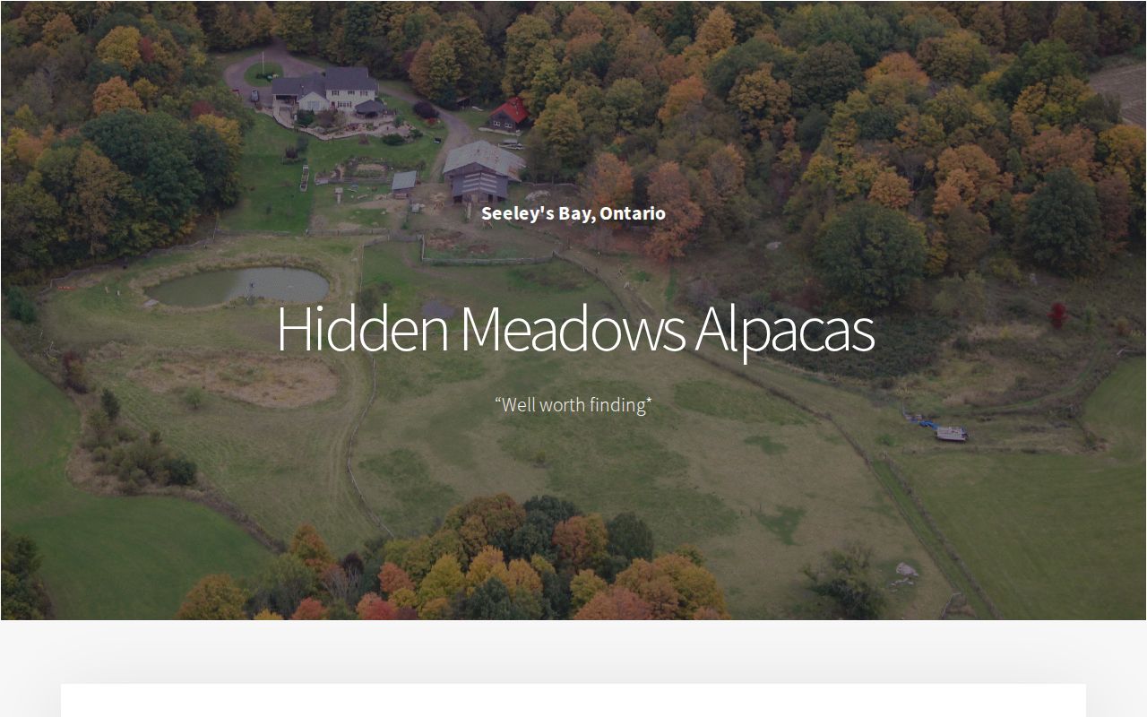 Hidden Meadows Alpacas Alpaca Farm Online Store for Yarn Seeley's