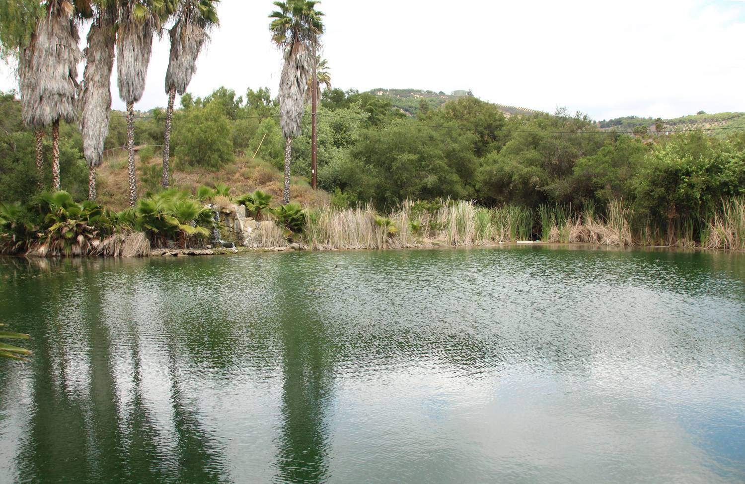 Morning Star Ranch Hidden San Diego