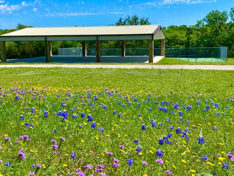 Photo Gallery Hidden Springs POA