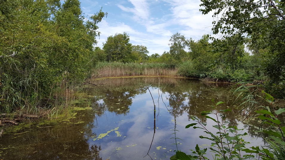 Citywide Hidden Waters blog