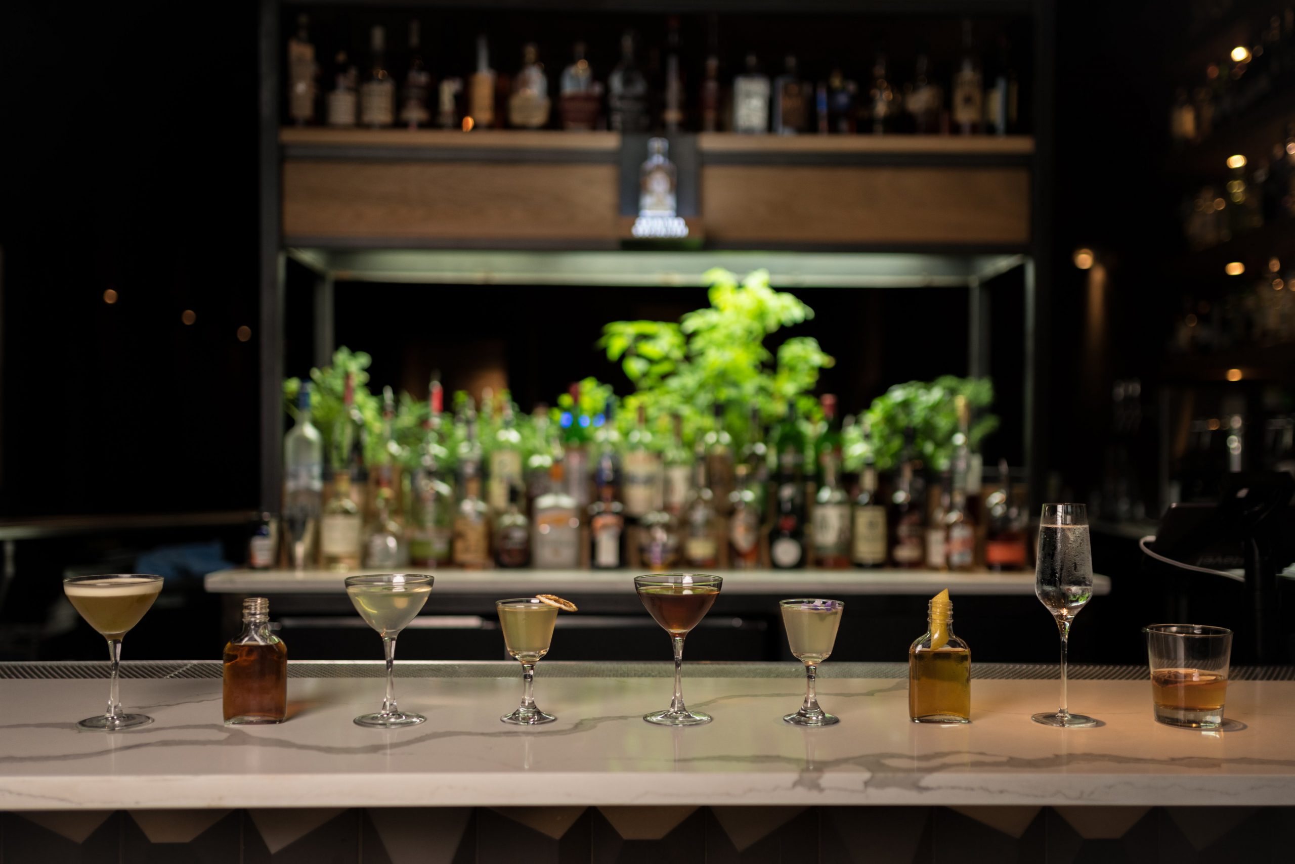 HIDE Bar Making our Mark on the Dallas Cocktail Bar Scene