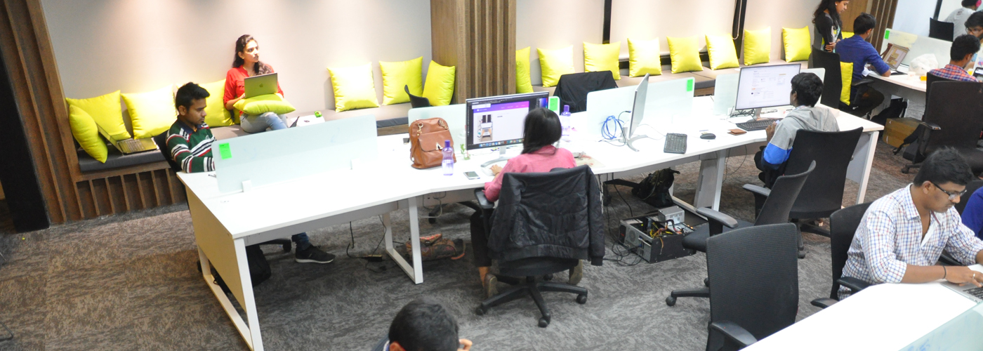 Cartoon Mango Hidecor