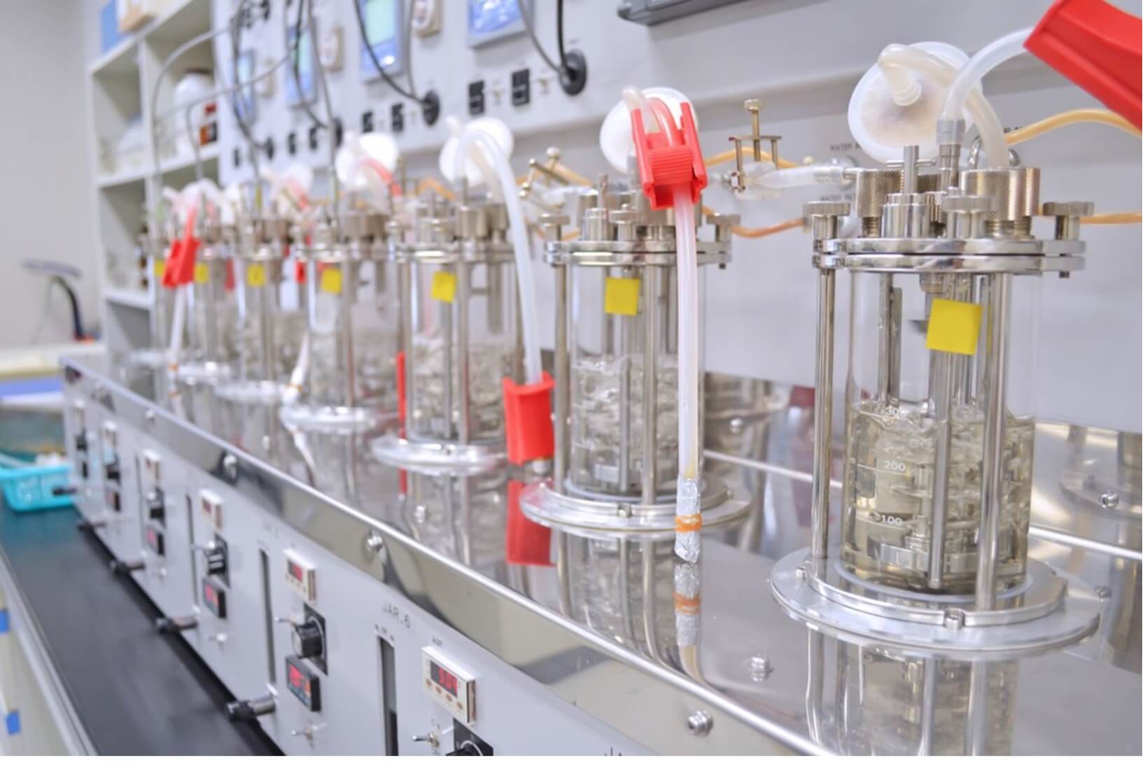 Fermentation Process Monitoring with OffGas and Dissolved Gas Analysis