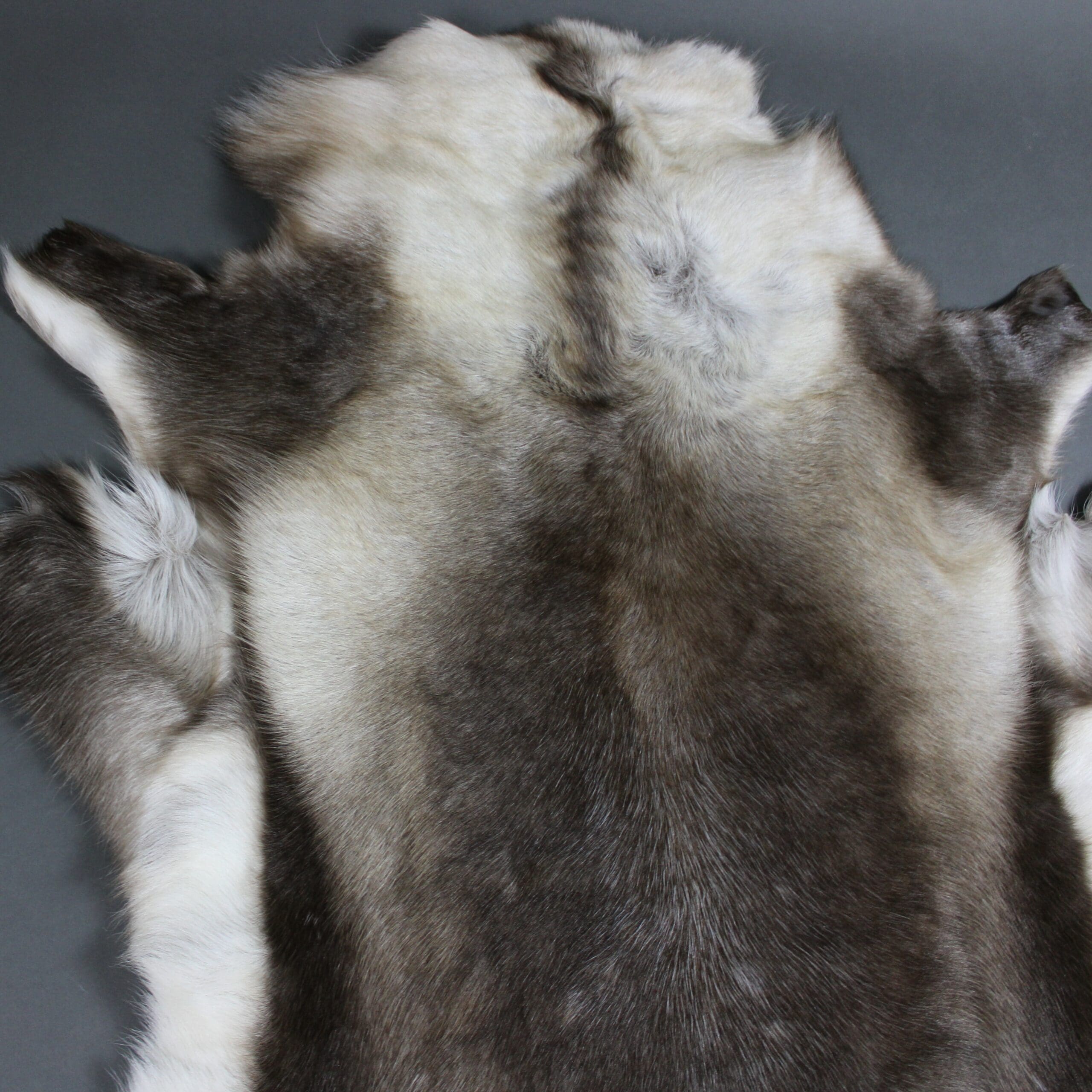 Traditional Reindeer Hides Hide Rugs