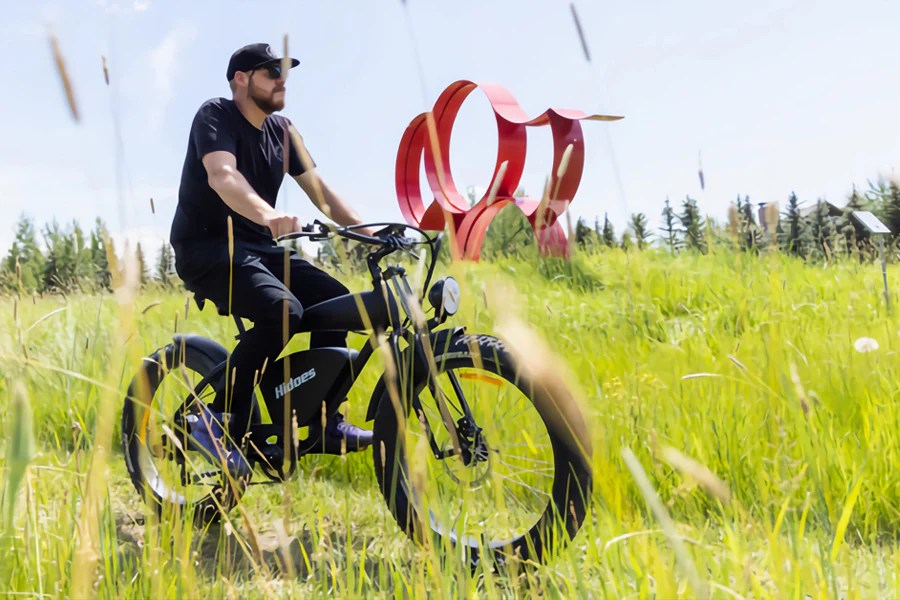 How Many Watts Should A Good Ebike Motor Have? Hidoes