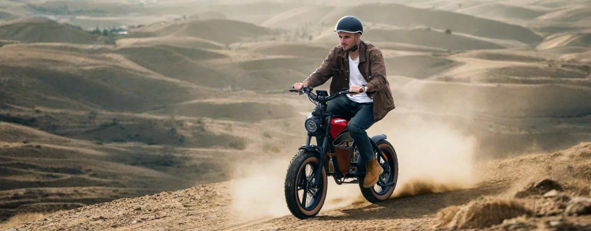 Affordable Fat Tire Electric Bike for Sale Hidoes Bikes