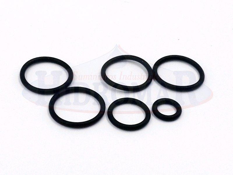 255 Valve Softener Gasket Kit Hidromar
