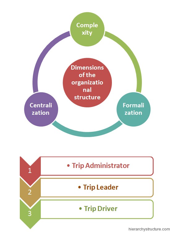 Sports Organization Hierarchy Chart Organization Structure