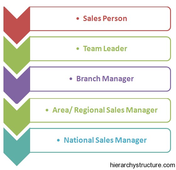 Sales Career Hierarchy Structure Sales Titles Hierarchy