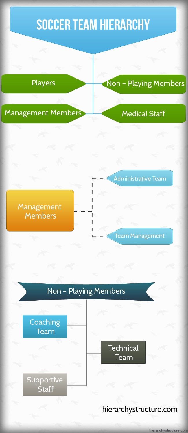 Soccer Team Hierarchy Hierarchical structures And Charts