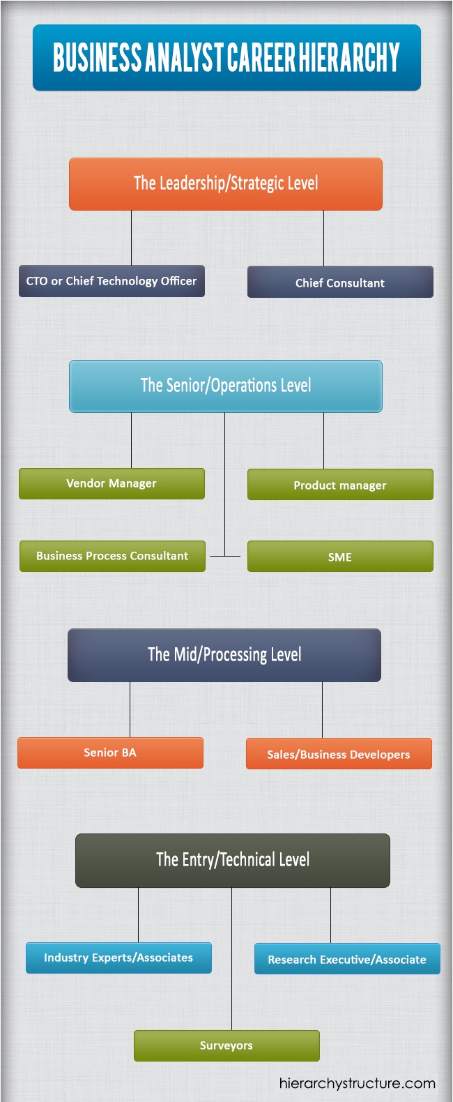 Business analyst career hierarchy Career path system