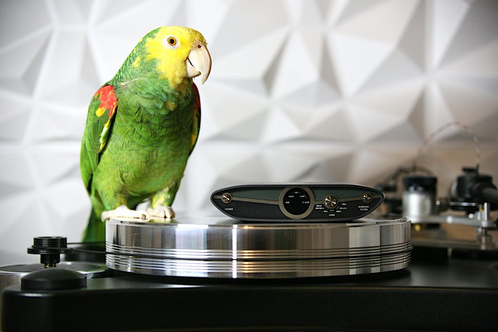 zen phono 3